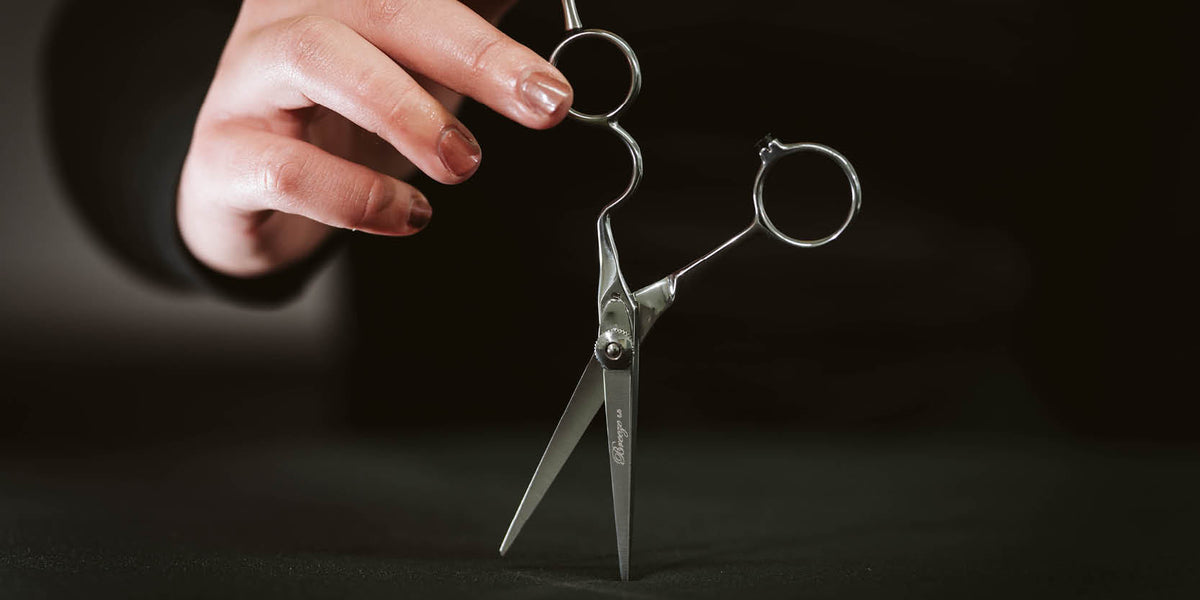 DIAVOLO-BREEZE-5.5-Schneideschere-Scherenschmiede-dfa-Deutsche-Friseur-Akademie